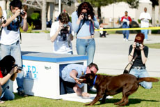 High school students take pictures during the photo contest.