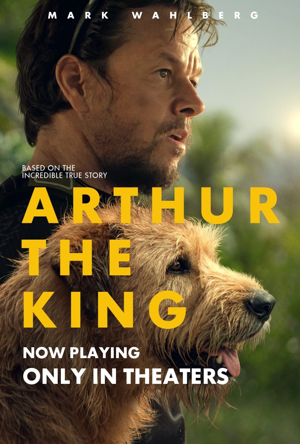 “Arthur the King” Movie Review – The Renegade Rip