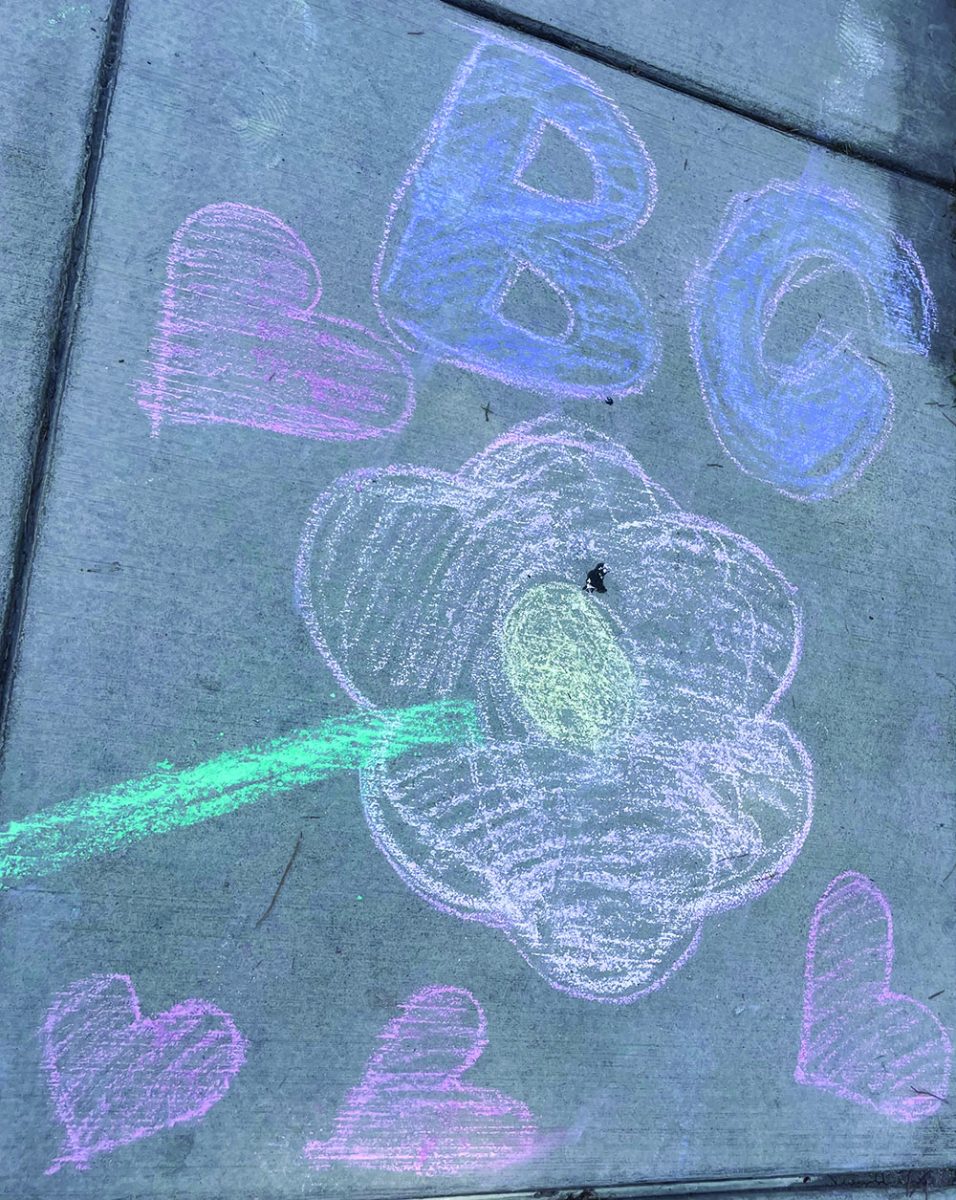 BC Chalk art with a beautiful flower drawing.