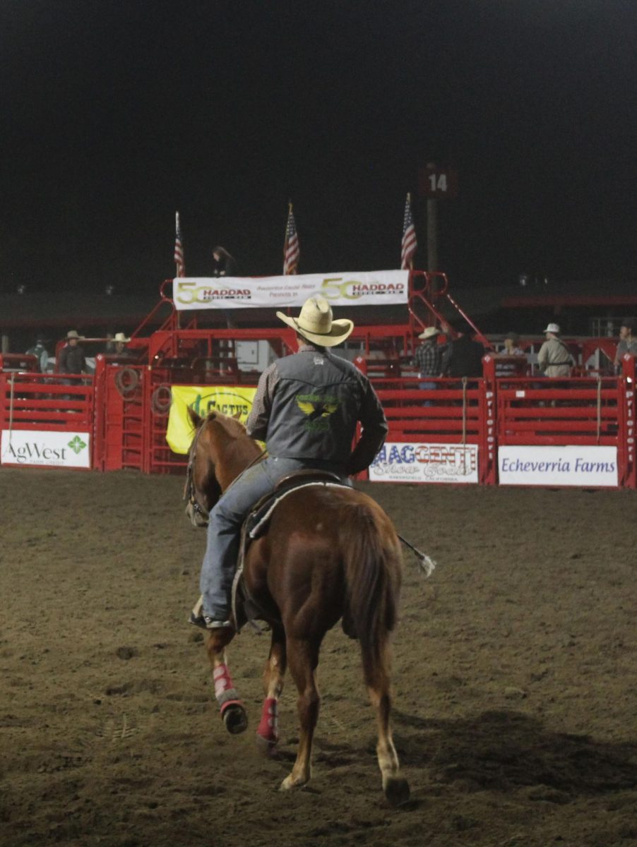 Cowboy keeping an eye out for cattle to ring up. 