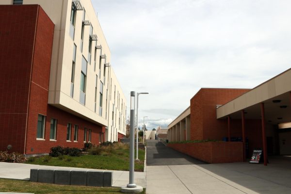 Student arrested after assaulting BC Officer